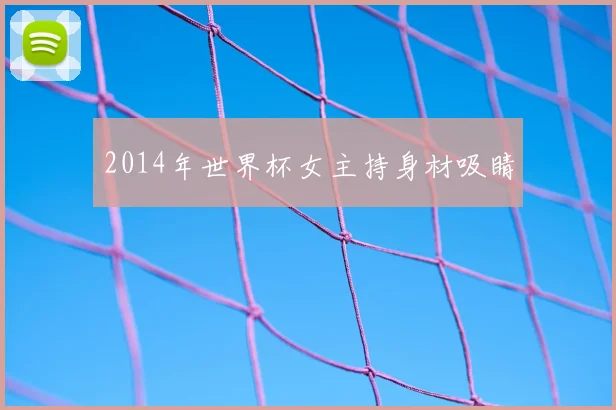 2014年世界杯女主持身材吸睛