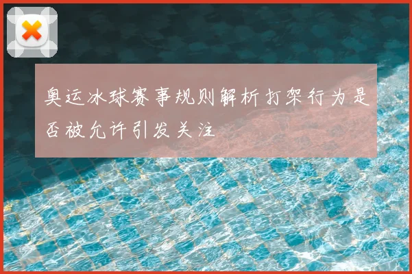 奥运冰球赛事规则解析打架行为是否被允许引发关注