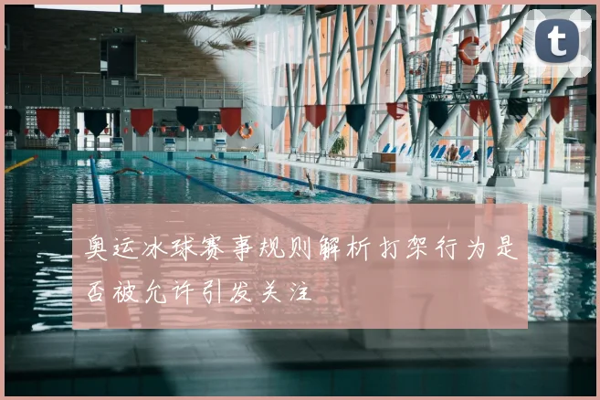 奥运冰球赛事规则解析打架行为是否被允许引发关注