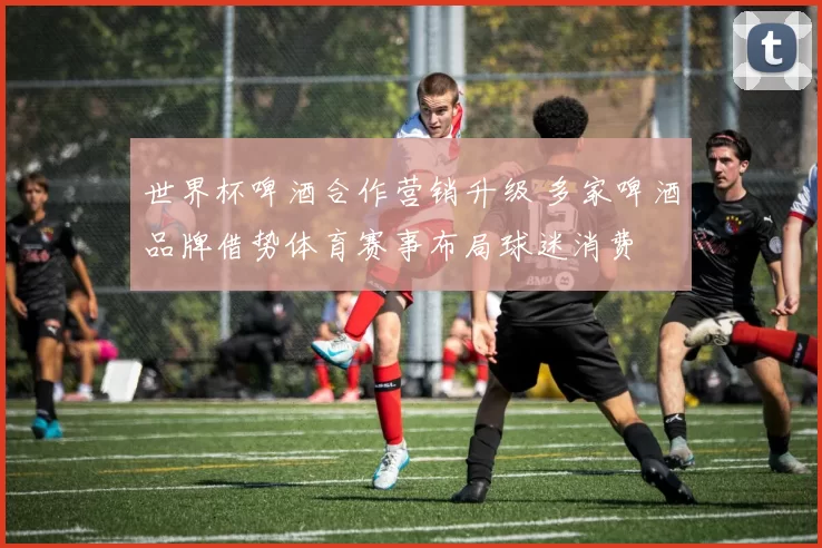 世界杯啤酒合作营销升级 多家啤酒品牌借势体育赛事布局球迷消费